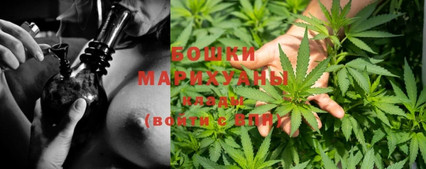 тгк Вяземский