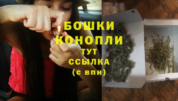 тгк Вяземский
