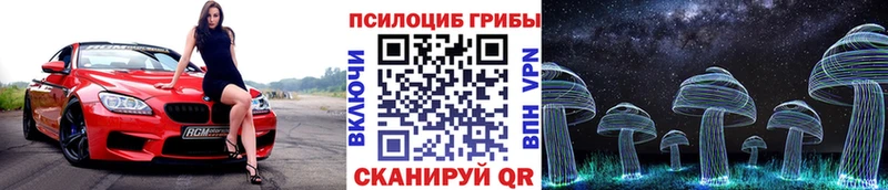 купить наркоту  Новоржев  Псилоцибиновые грибы GOLDEN TEACHER 
