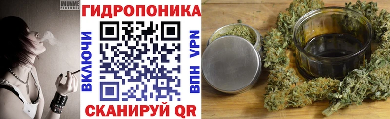 Канабис VHQ  как найти   Новоржев 