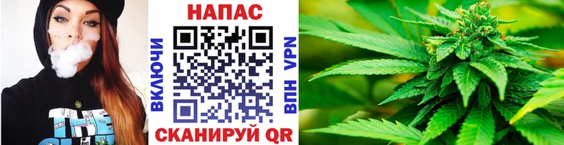 Шишки марихуана Ganja Новоржев